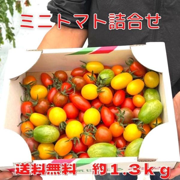 栃木県佐野市にある関口農園のミニトマト9種類セットです。品種は商品画像の通り、9種類で発送させて頂きます。トマトのなり具合により、品種ごとの偏りが生じる場合があります。ご了承ください。注文後収穫致します。