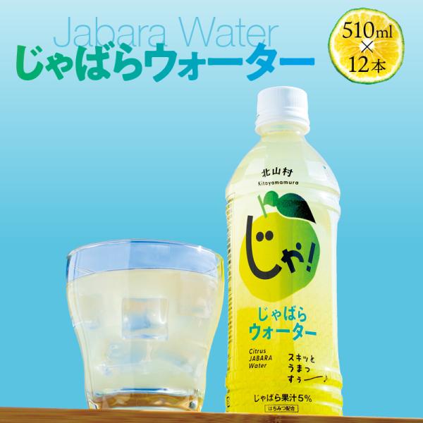 じゃばらウォーター510ml 12本 じゃばら みかん 柑橘 ジュース ギフト プレゼント 健康 人気 セット