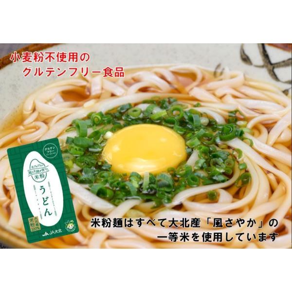 小林生製麵グルテンフリー白米うどんタイプ＆グルテンフリーめんつゆ各４袋