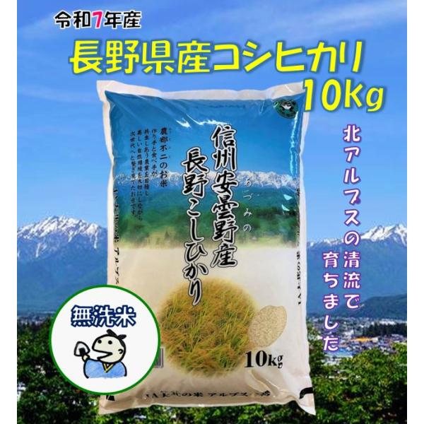 信州産コシヒカリ10㎏(精米済・令和6年収獲) タケノコご飯用筍3本付き 令和6年産】新潟県産コシヒカリ 精米10kg（減農薬減化学肥料栽培