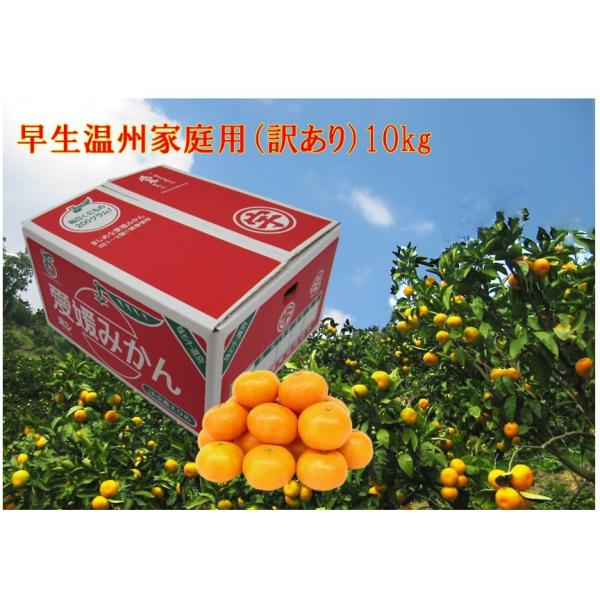 jaehimeminami_mikan-002