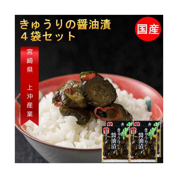 きゅうり醤油漬け 100g 4袋 国産 無添加 きゅうり 漬物 宮崎県産 キュウリ 梅酢ごぼう 2種類から選べる ご飯のお供 ポイント消化 メール便 Buyee Buyee Japanese Proxy Service Buy From Japan Bot Online