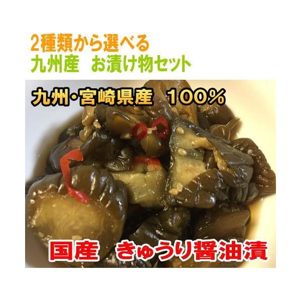 きゅうり醤油漬け 100g 4袋 国産 無添加 きゅうり 漬物 宮崎県産 キュウリ 梅酢ごぼう 2種類から選べる ご飯のお供 ポイント消化 メール便 Buyee Buyee Japanese Proxy Service Buy From Japan Bot Online