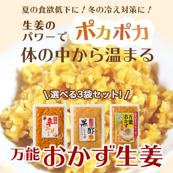 万能おかず生姜 国産 130g×3袋 しょうが醤油漬け 刻みしょうが ぶっかけおかずしょうが ショウガ ふりかけ ご飯のお供 ポイント 消化 メール便 ギフト /【Buyee】 万能おかず生姜 国産 130g×3袋 しょうが醤油漬け 刻みしょうが ぶっかけおかずしょうが ショウガ ふりかけ ご飯のお供 ポイント 消化 メール便 ギフト /【Buyee】