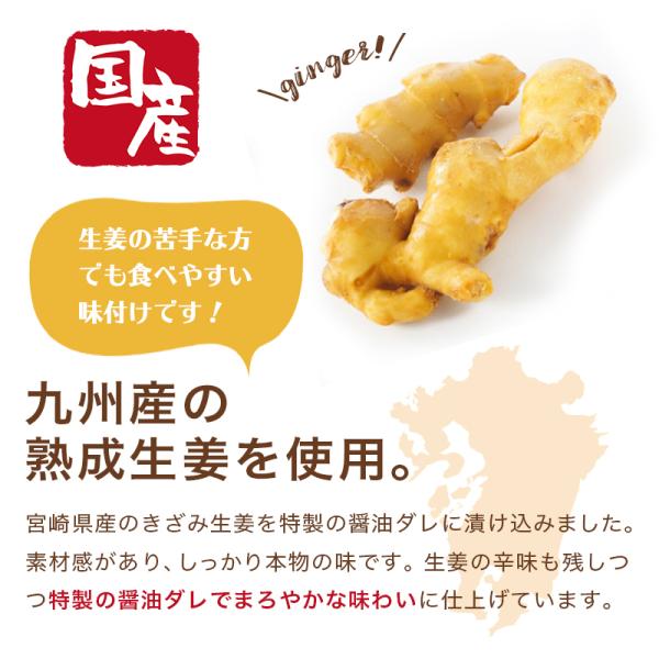 万能おかず生姜 国産 130g 3袋 しょうが醤油漬け 刻みしょうが ぶっかけおかずしょうが ショウガ ふりかけ ご飯のお供 ポイント 消化 メール便 ギフト Buyee Buyee Japanese Proxy Service Buy From Japan Bot Online