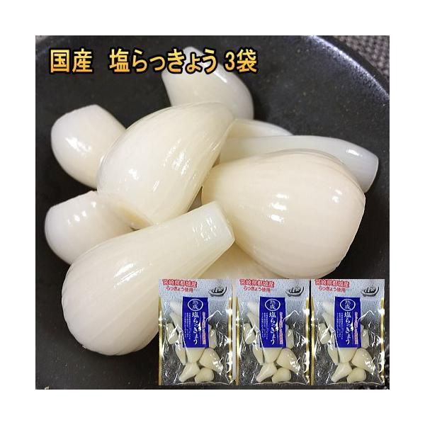 傤 Y Y 80g3  sgp JJ傤Ђ Ε @Ђ@җ BO [