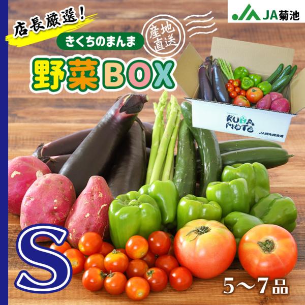 きくちのまんま野菜ボックス S