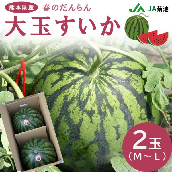 熊本菊池の大玉「春西瓜」2玉 9キロほど｜Yahoo!フリマ（旧