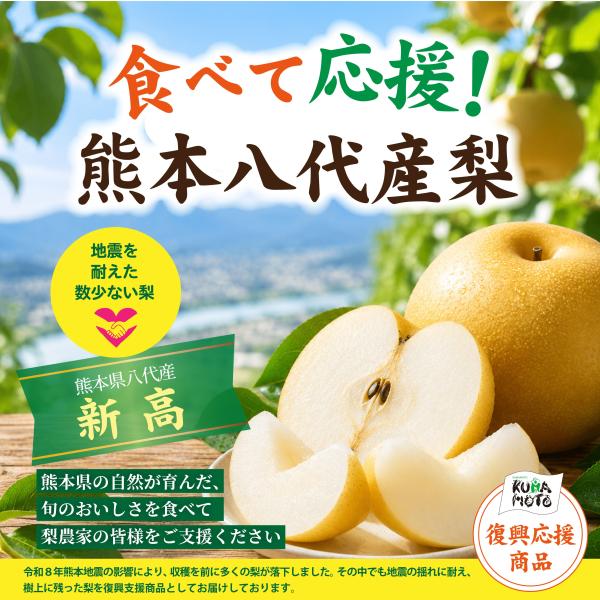 JAやつしろ 新高梨 5玉〜10玉 5ｋｇ 吉野梨 復興応援 食べて応援 熊本県産 産地直送 なし