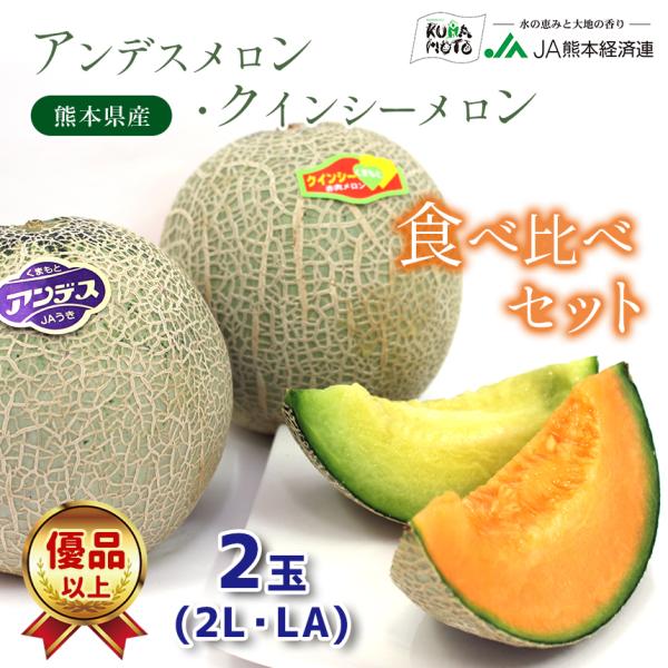 甘いメロンセット　アンデスメロン　クインシーメロン 楽天市場】熊本県・茨城県 母の日 アンデスメロン・クインシー