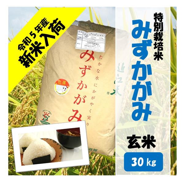滋賀県産近江米　JAこうか　特別栽培米　みずかがみ　玄米　30kg