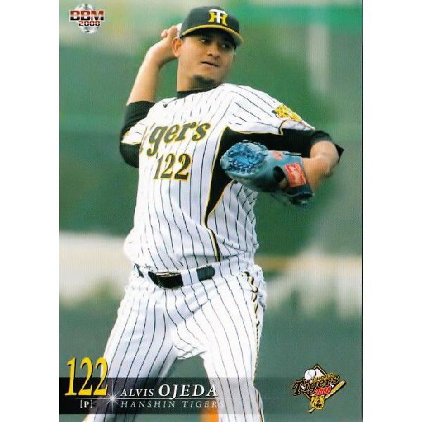 BBM 阪神タイガース 2008 レギュラー T069 オヘイダ : スポーツカード