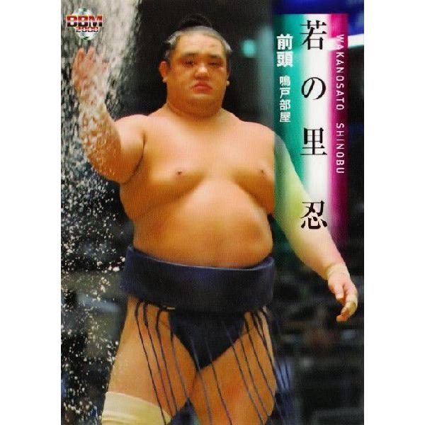 BBM 大相撲カード 2008 レギュラー 25 若の里 忍 : スポーツカード