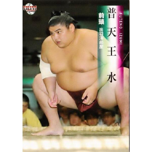 BBM 大相撲カード 2008 レギュラー 28 普天王 水 : スポーツカード