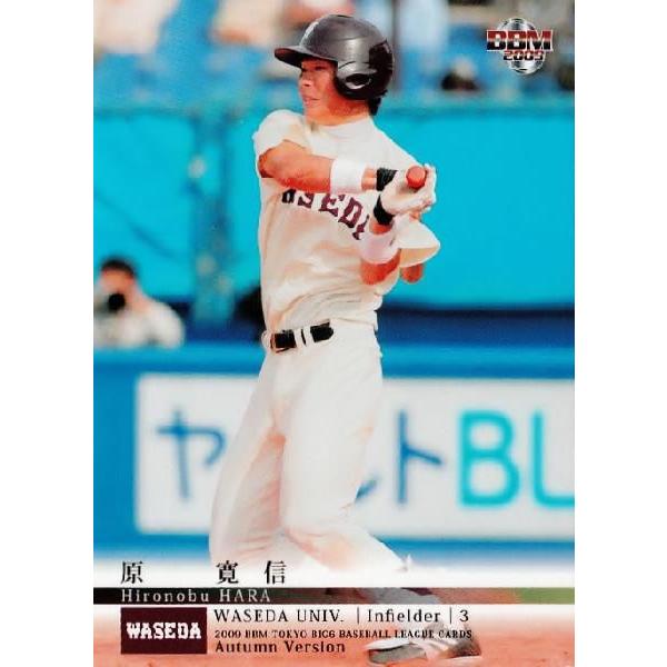 10インチ 10吋 早稲田大学グリー・クラブ 親愛なる卒業生諸兄へ 自主制作盤 ミズノ直営店限定】硬式用【グローバルエリート】ティーンエイジ