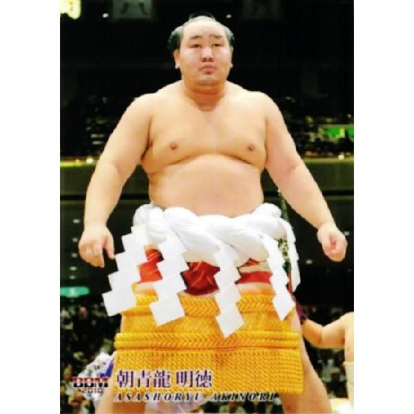 BBM 大相撲カード 2010 レギュラー 【連続写真＆手形パズル 朝青龍】90 