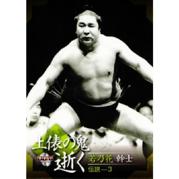 故、二代目、若乃花幹士、第56代横綱、B B M大相撲レジェンド