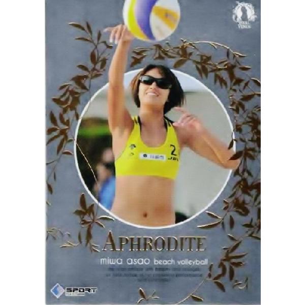 BBM AB[iX2011 CT[g RV03 a (r[`o[j