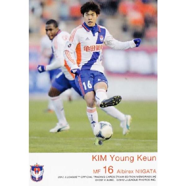 Jカード TEメモラビリア アルビレックス新潟 2012 レギュラー AN21