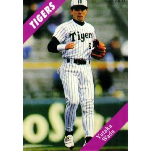 カルビープロ野球カード1994年〜2010年【阪神タイガース】31枚