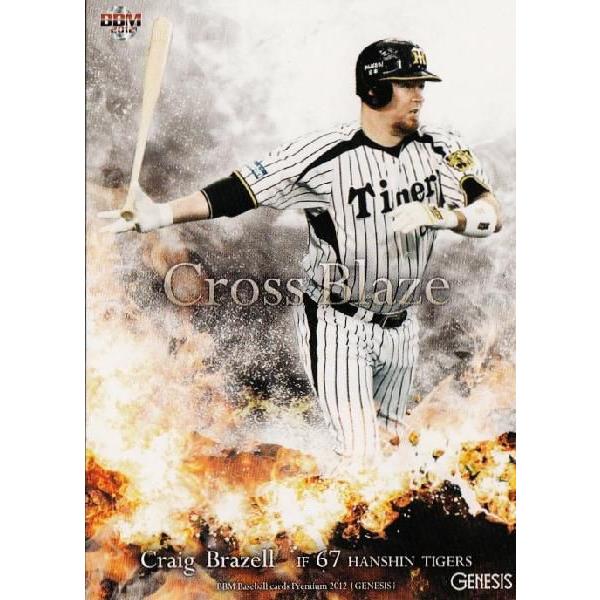 CB090 yu[/_^CK[XzBBM 2012 GENESIS WFlVX M[ [Cross Blaze]