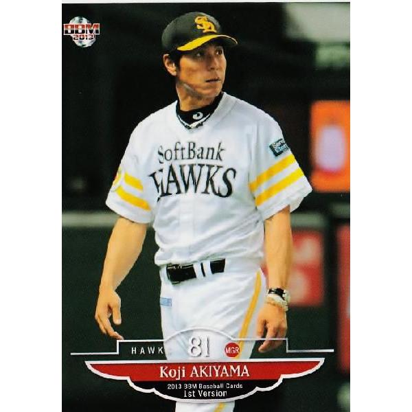 217 yHRK/\tgoNz[NXz2013BBMx[X{[J[h 1st M[