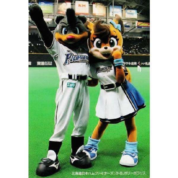 C-11 yBEB |[|X/kC{nt@C^[YzJr[ 2013v싅`bvX3e M[ [`FbNXg]