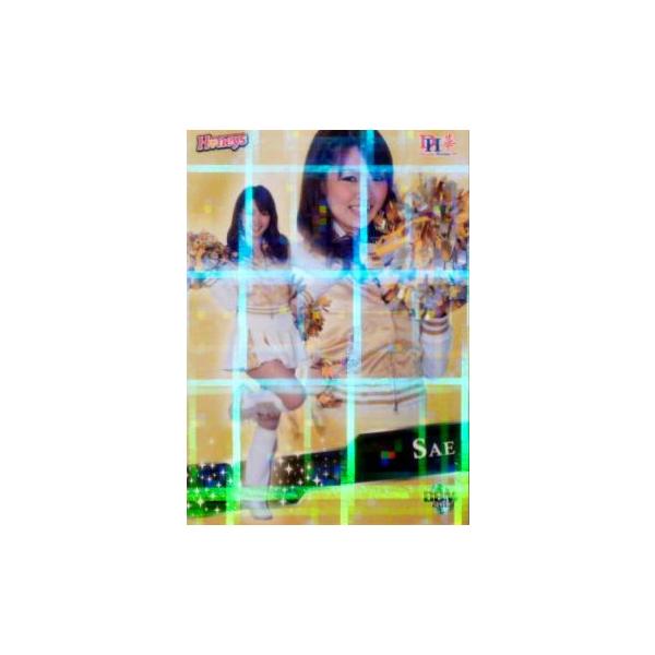 57 ySAE (\tgoNz[NX/Honeys)zBBM v싅`A[_[J[h2013 -- M[p