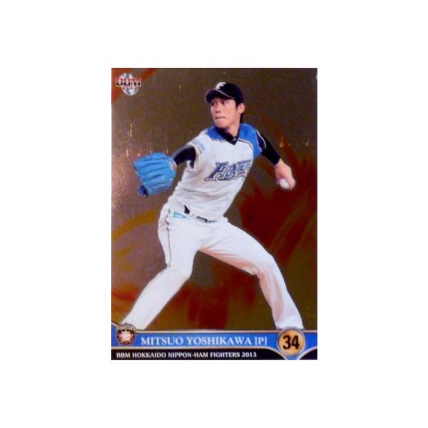 19 ygvzBBM kC{nt@C^[Y 2013 M[p