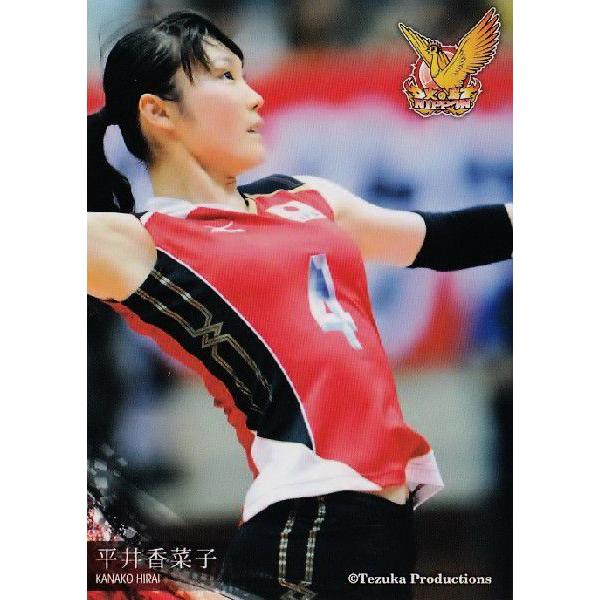全日本女子バレーオフィシャルカード2013 「火の鳥NIPPON」 レギュラー