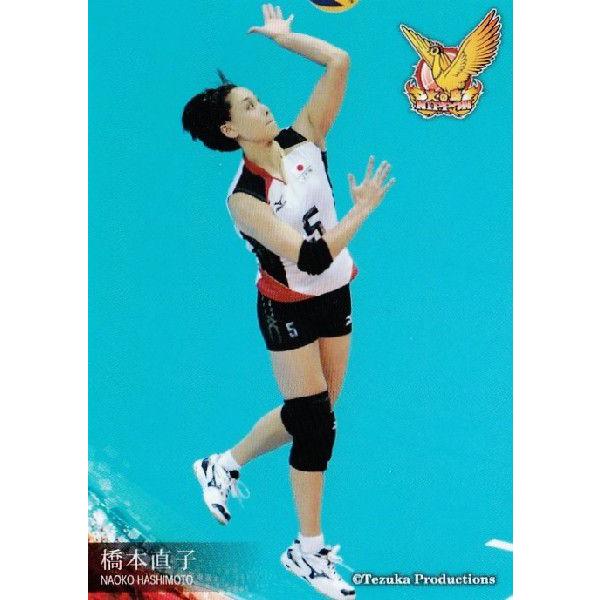全日本女子バレーオフィシャルカード2013 「火の鳥NIPPON」 レギュラー