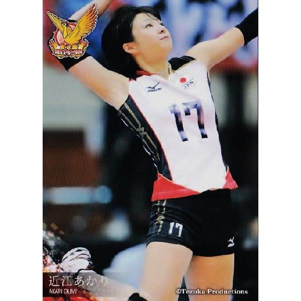 全日本女子バレーオフィシャルカード2013 「火の鳥NIPPON」 レギュラー