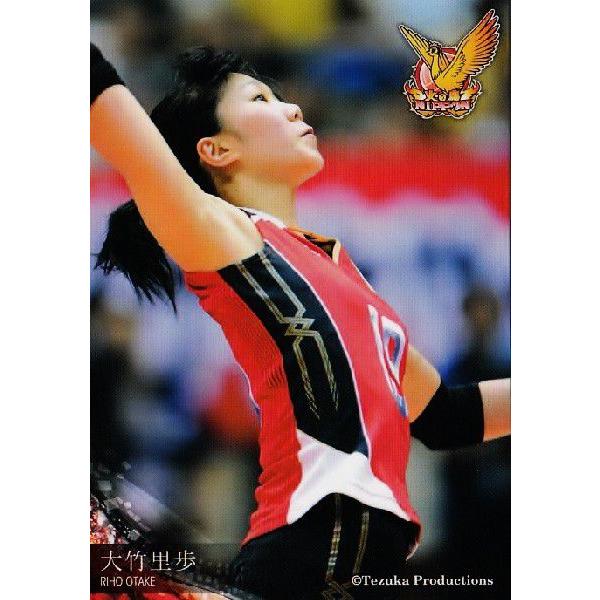 全日本女子バレーオフィシャルカード2013 「火の鳥NIPPON」 レギュラー