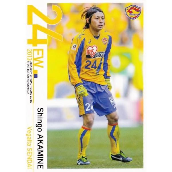 Jカード TEメモラビリア ベガルタ仙台 2013 レギュラー 23 赤嶺真吾