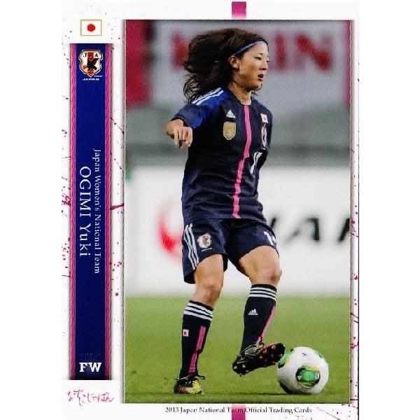 TbJ[{\ItBVJ[h2013 M[ yȂłWpz 061 VDG i`FV[LFC/COhj