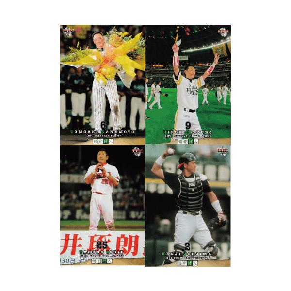 yM[Rv[gZbg/S41zBBM2013 ɕʋl M[Jς݁EBOXt