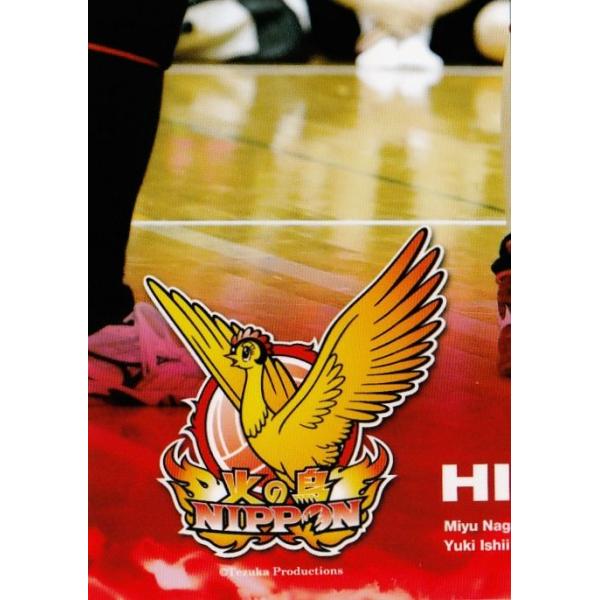 全日本女子バレーオフィシャルカード2014 「火の鳥NIPPON」 レギュラー