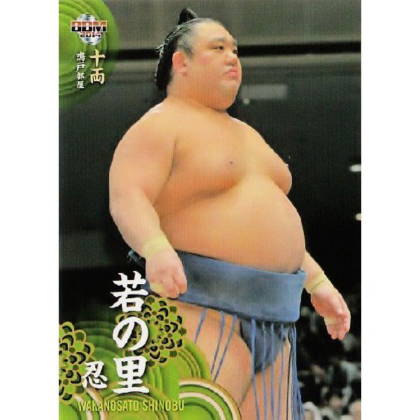 m 大相撲カード 14 レギュラー 51 若の里 忍 14sumo 51 スポーツカード ジャンバラヤ 通販 Yahoo ショッピング