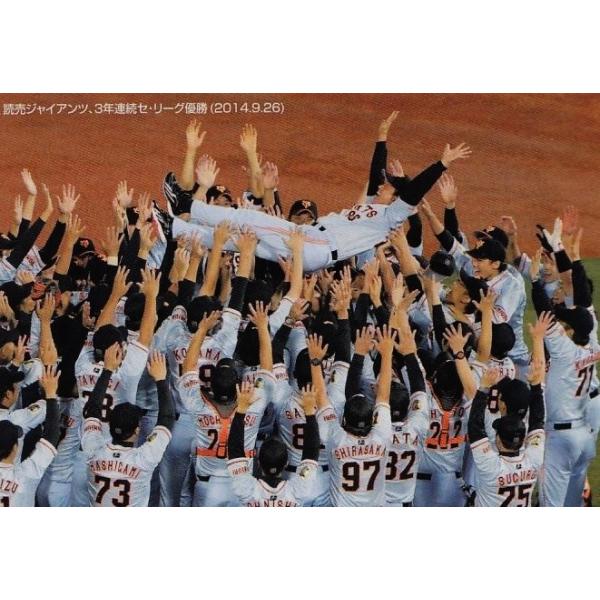 プロ野球チップス2015 mintkashii_15cal2-112