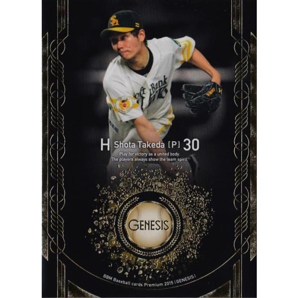 2 ycđ (\tgoNz[NX)zBBM 2015 GENESIS WFlVX M[