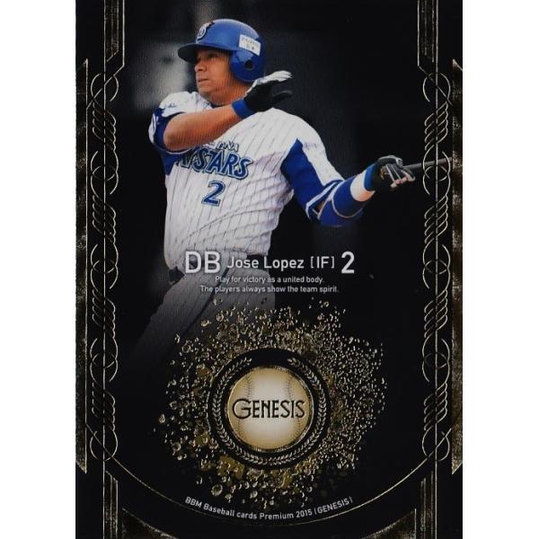 95 yJ.yX(lcm`xCX^[Y)zBBM 2015 GENESIS WFlVX M[