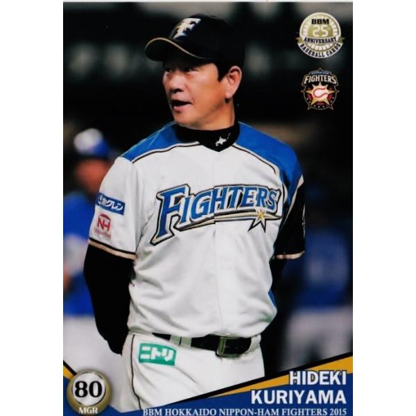 1 yIRpzBBM kC{nt@C^[Y 2015 M[