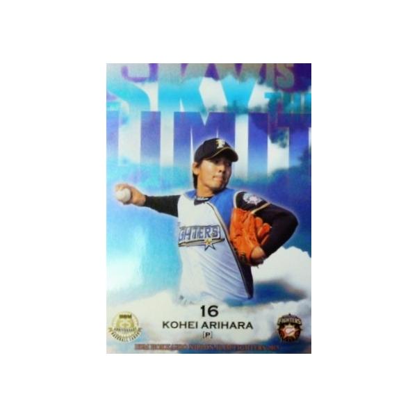 ySL02 LqzBBM kC{nt@C^[Y 2015 CT[g [SKY IS THE LIMIT]