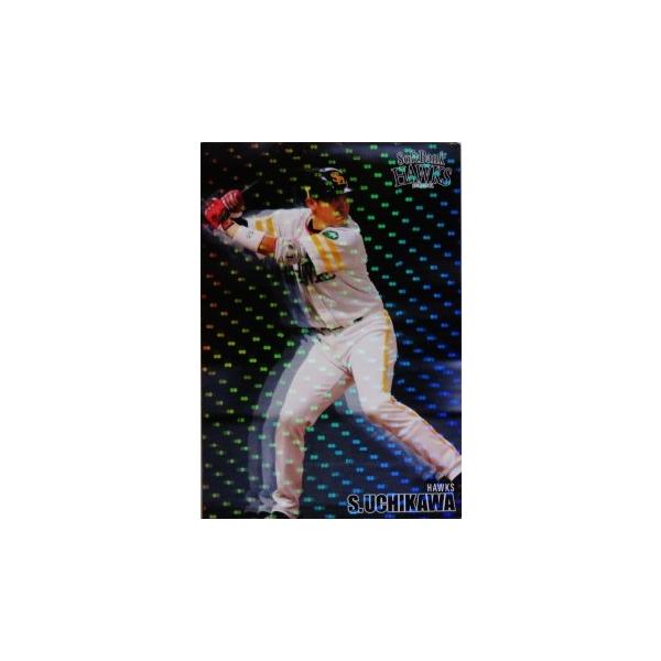 yAS01 쐹 (\tgoNz[NXjzJr[2016 v싅`bvXI[X^[Y M[