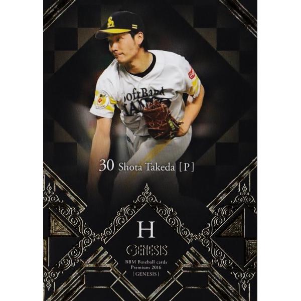 03 ycđ/\tgoNz[NXzBBM2016 GENESIS WFlVX M[