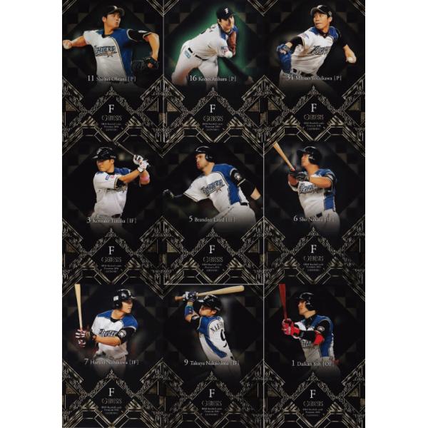 ykC{nt@C^[YzBBM2016 GENESIS WFlVX[`[ʃM[Rv[gZbg]S9 (`FbNXg͏)