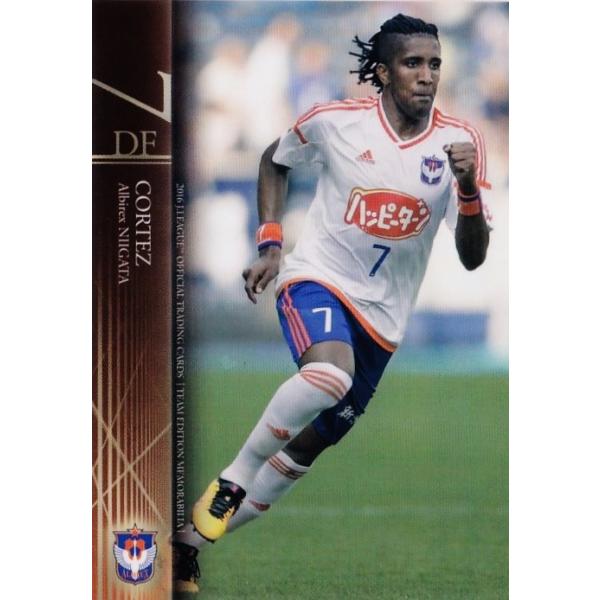 08 yRe[Xz2016J[OJ[h TErA ArbNXV M[