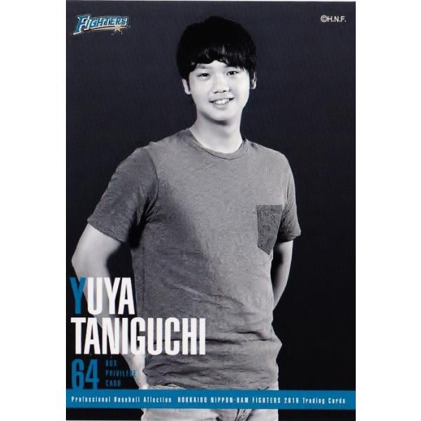 yJYz2016v싅ai ukC{nt@C^[Yvg[fBOJ[h BOXTJ[h