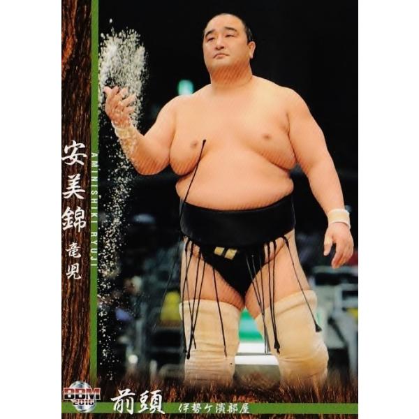 BBM 2002 大相撲カード 朝青龍vs栃東　カメラは見た！気迫の一番+6枚 BBM 2002 大相撲カード 朝青龍vs栃東 カメラは見た！気迫の一