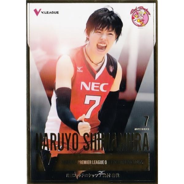 2015-16�u�E�v���~�A���[�O���q�����g���[�f�B���O�J�[�h �X�y�V�����J�[�h �����t�� (NEC���b�h���P�b�c)